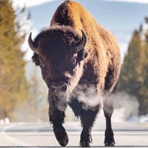 Meet your Posher, Andrew